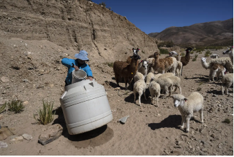 ویلما د کالاتا، 45 ساله، در توساکیلاس، استان جوجوی، آرژانتین، یکشنبه، 23 آوریل 2023، برای حیوانات خود آب می کشد. مردم بومی او کولا قرن ها را صرف بالا رفتن از اعماق کوه های شمال آرژانتین در جستجوی یک ماده ساده کرده اند: نوشیدنی تازه. اب. (AP Photo/Rodrigo Abd)